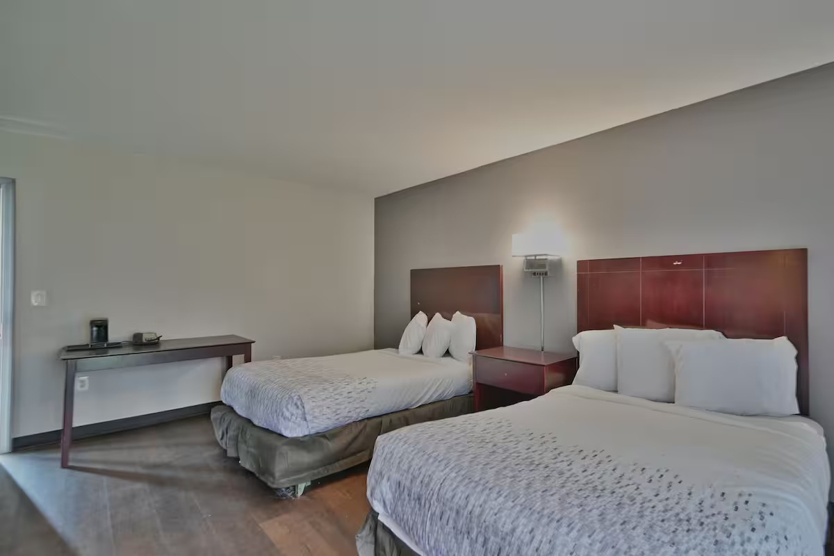 Standard Double Room, 1 Bedroom, Non Smoking