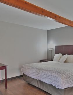 Well-decorated motel room interior